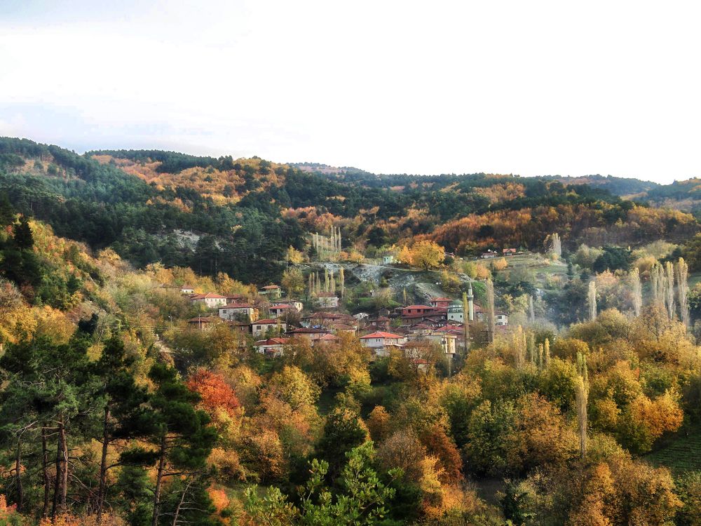 Gökçeören at Autumn