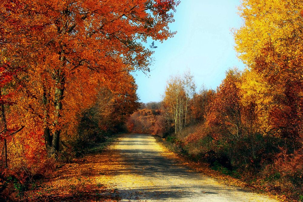 Samanlı Dağları at Autumn