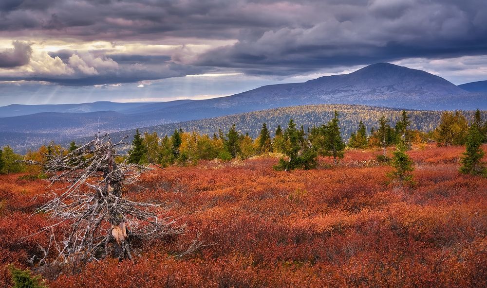 Photograph by Сергей Межин