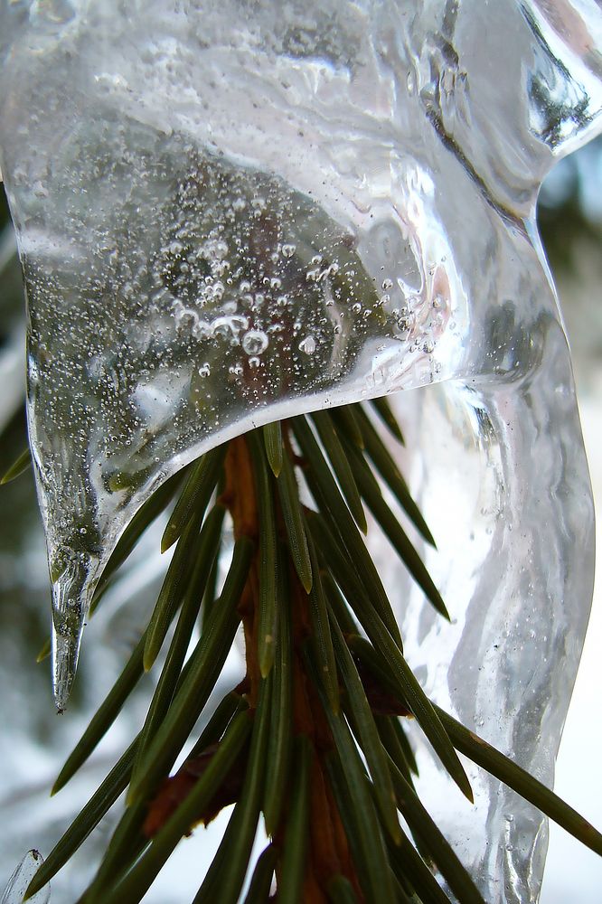 Photograph by Иван Скорик