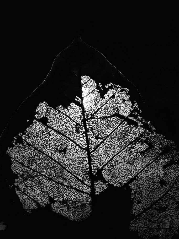 Photograph by Kapil Singh