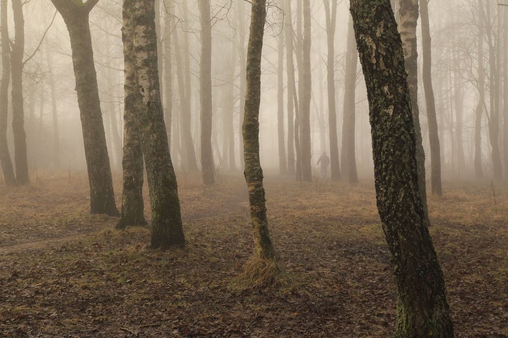 Photograph by Борис Баринов