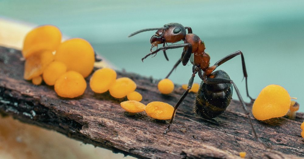 Photograph by Людмила Железнова