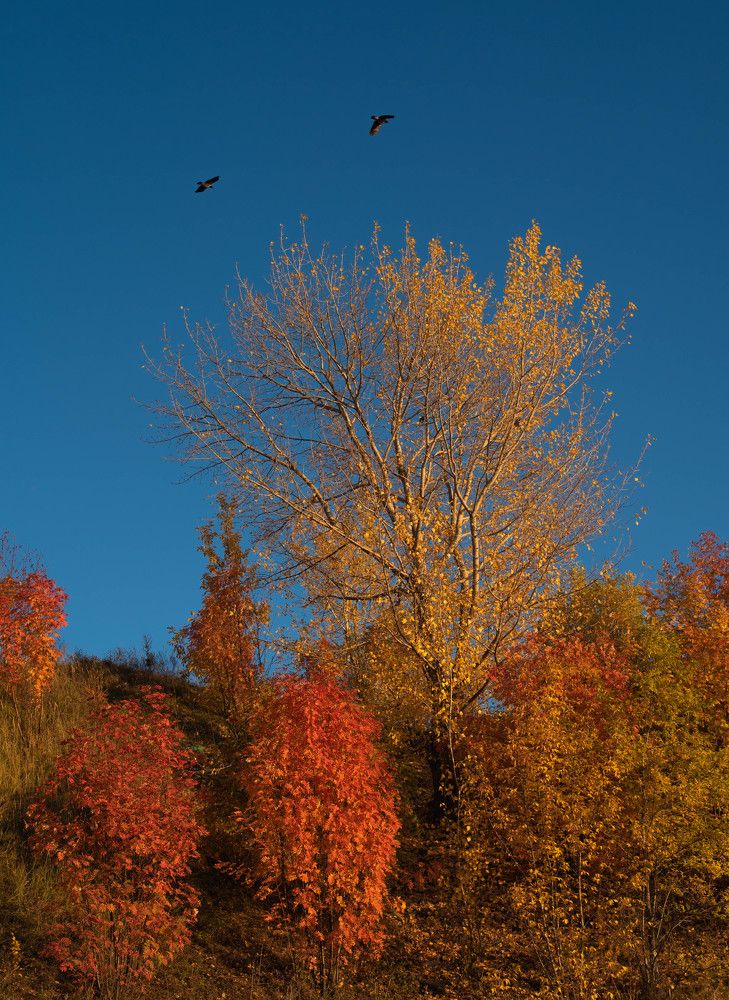 Photograph by Василий Клейменов