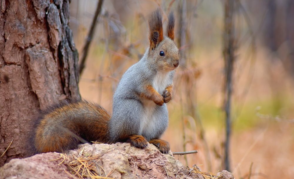 Photograph by Александр Кочуркин