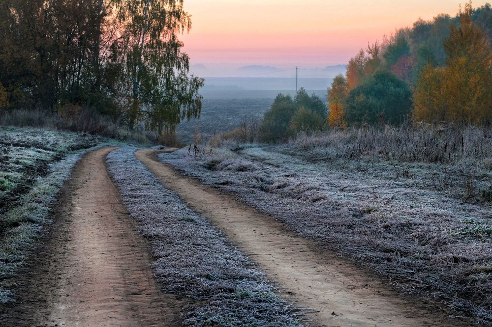 Дорога в осеннюю даль