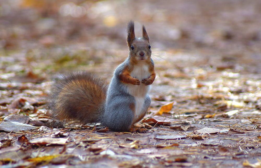 Photograph by Александр Кочуркин
