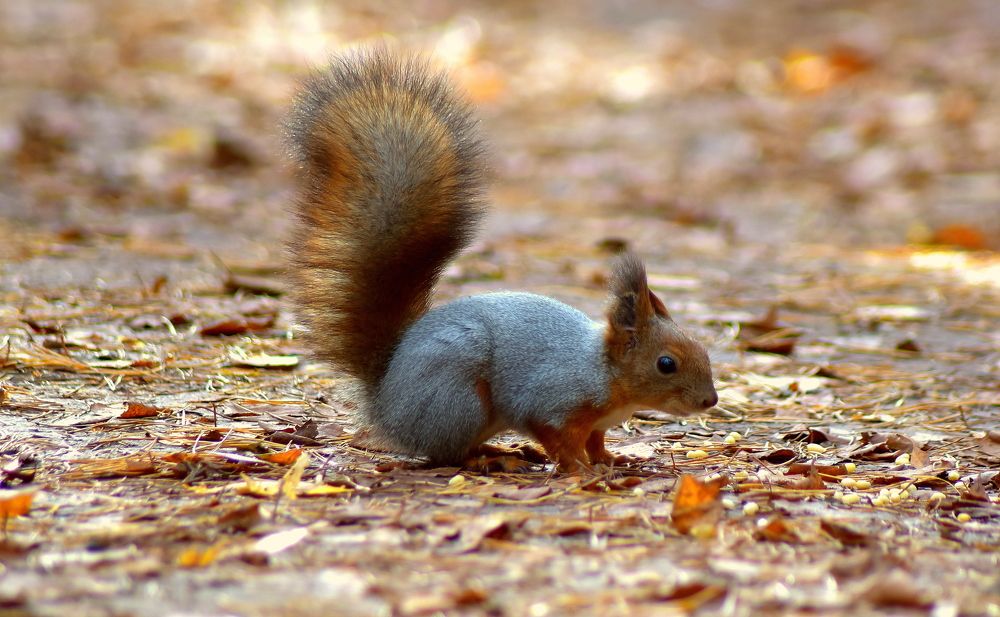 Photograph by Александр Кочуркин