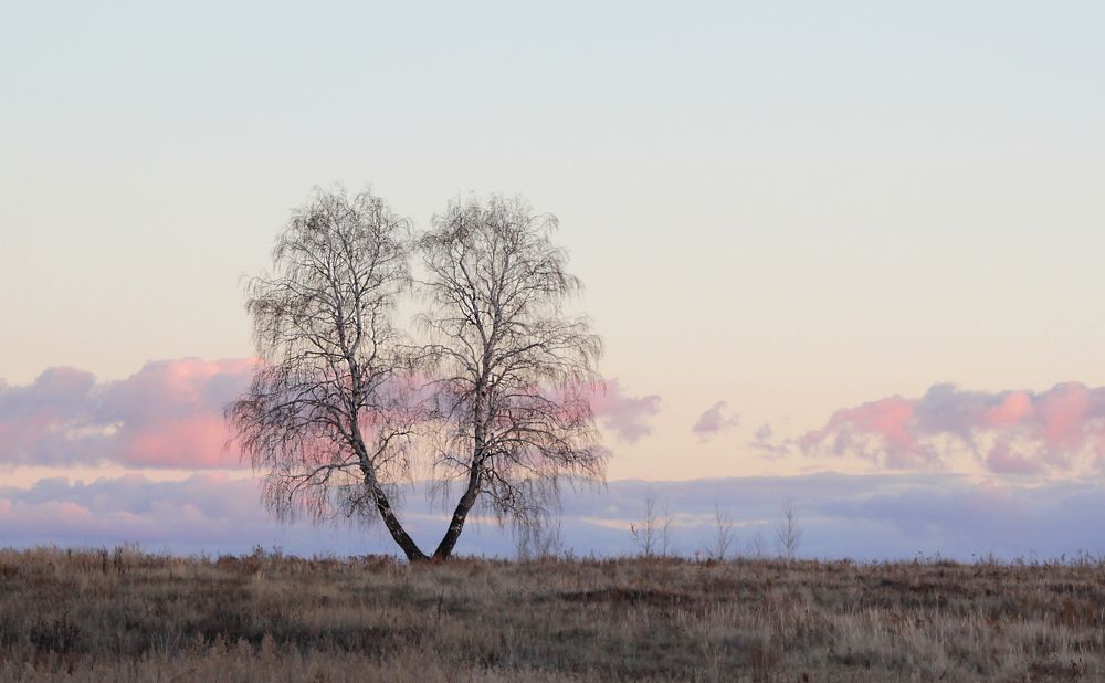 Розовые облака