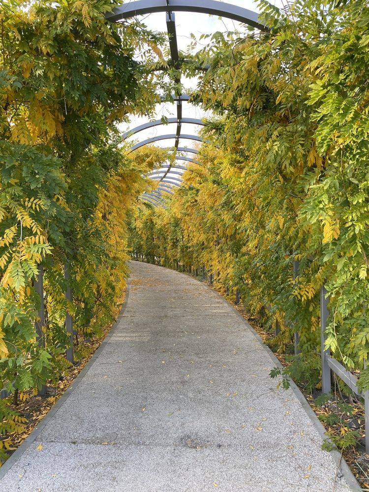 Photograph by Olga Rogala