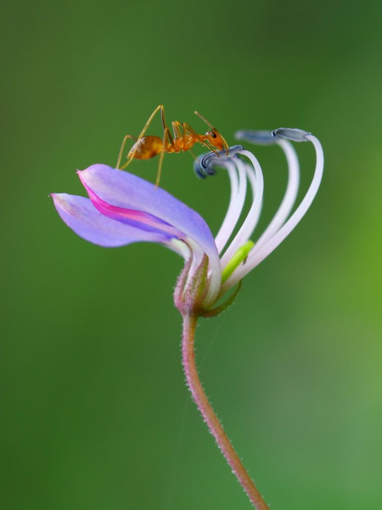 Photograph by Pramod Nath