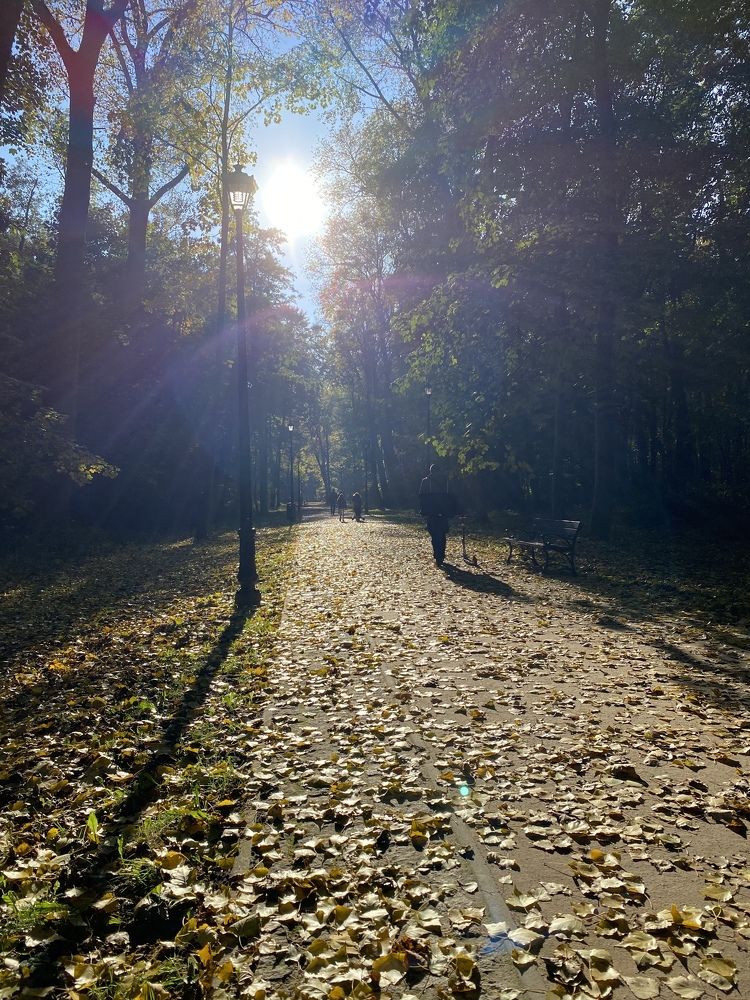 Photograph by Olga Rogala