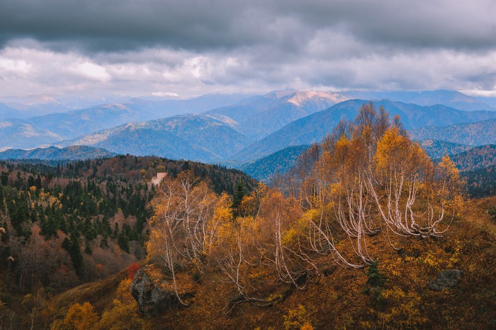 Конец золотой осени
