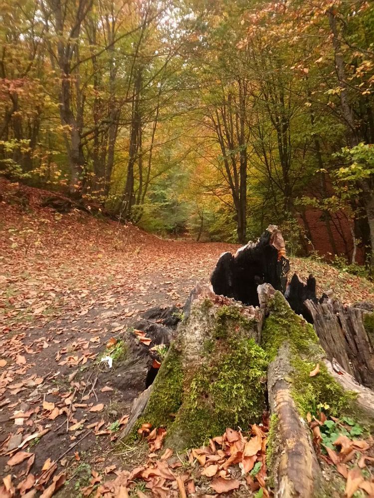 Photograph by Sina Saadati