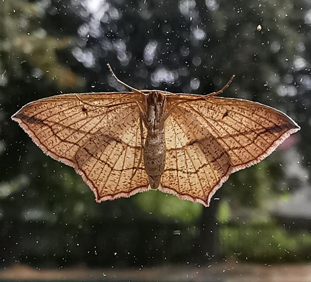 Photograph by Елена Миронова