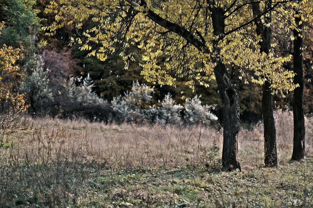 Photograph by Александр Стрельченко