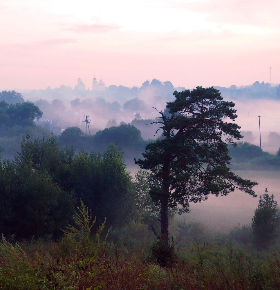 Photograph by Бабаев Андрей