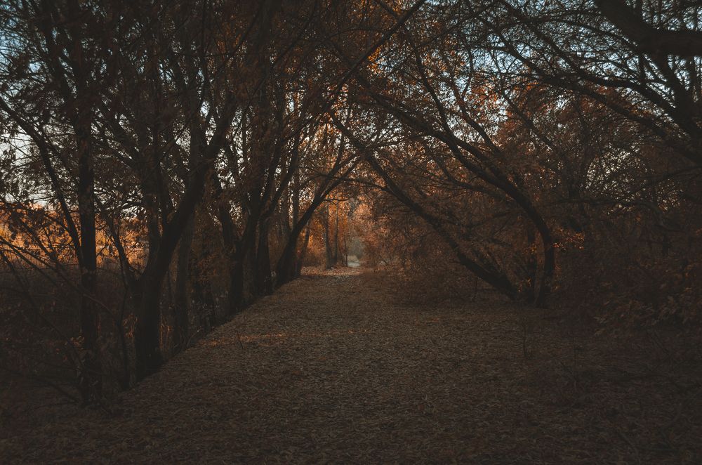 Фотография автора Ирина Ковалева