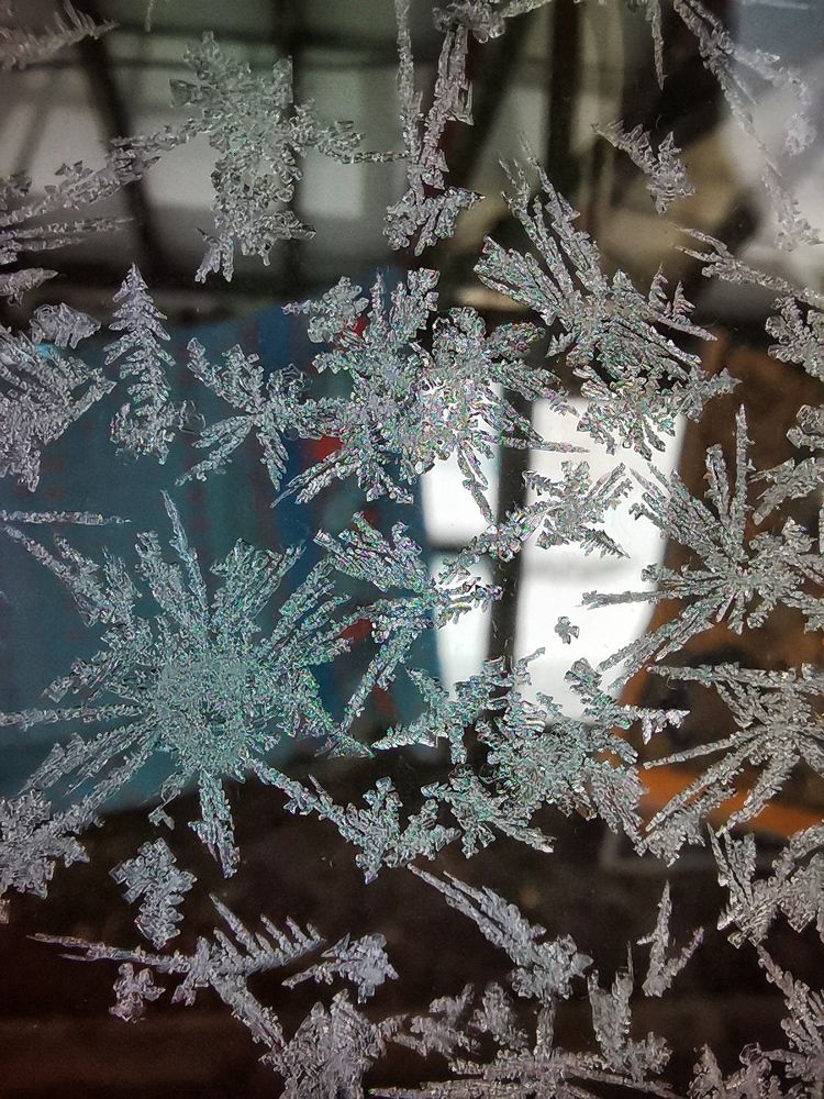 Photograph by Antonina Marchenko