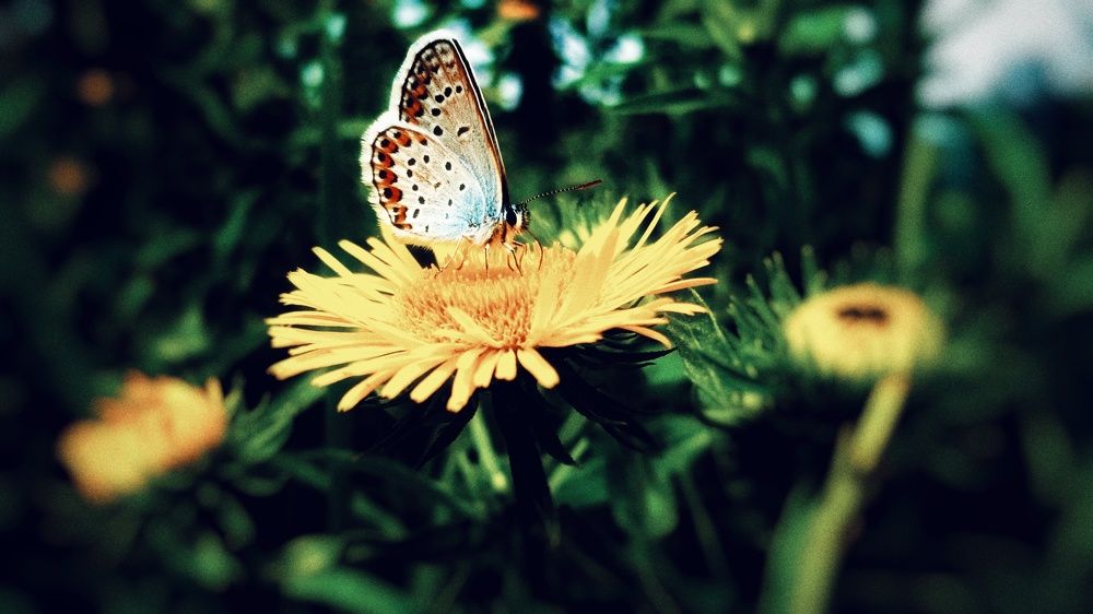 Photograph by Алёна Бондаренко