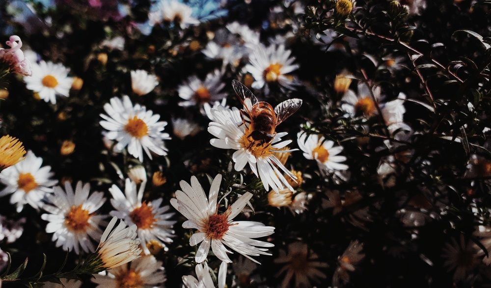 Photograph by Алёна Бондаренко