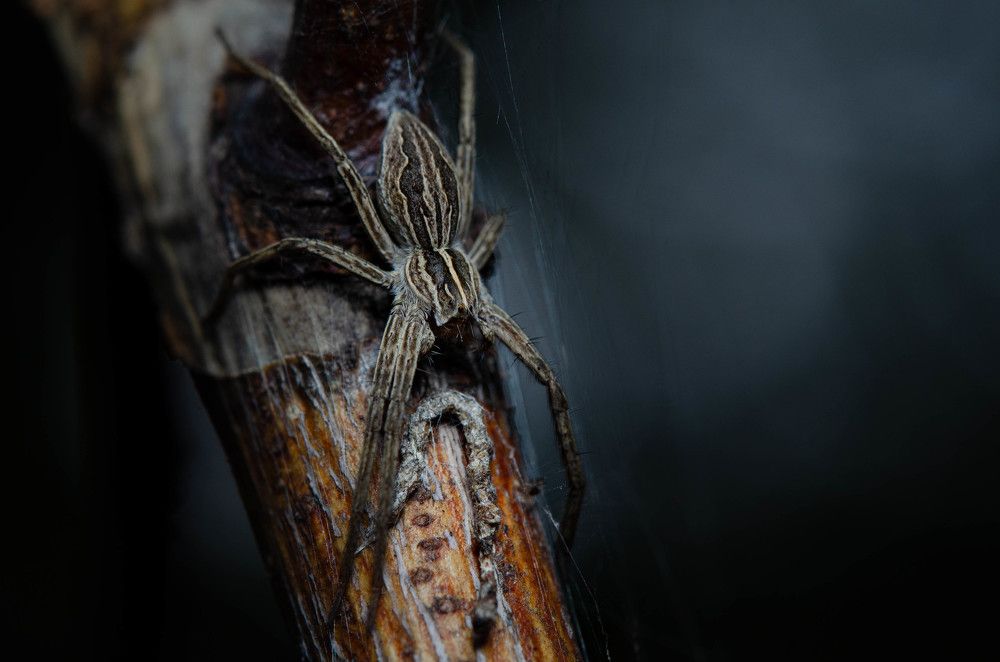 Photograph by Андрей Лысаченко