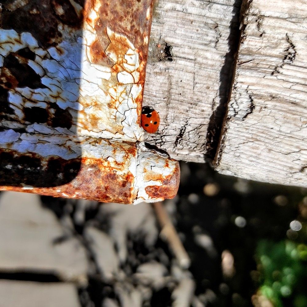 Photograph by Ирина Саттарова