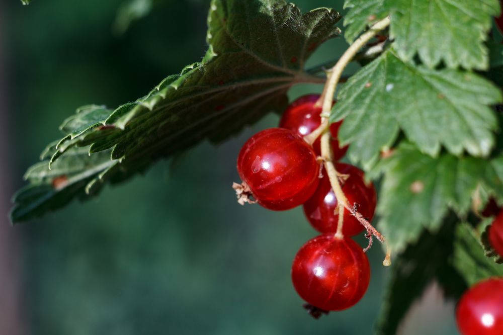 Photograph by Владимир Андреев