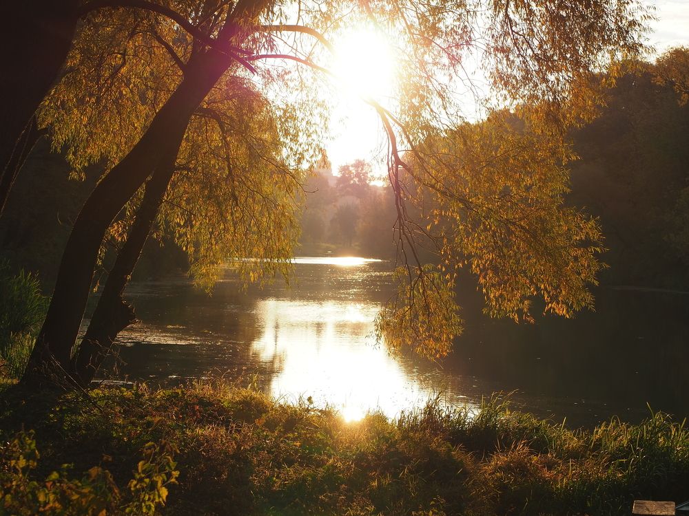 Photograph by Бабаев Андрей