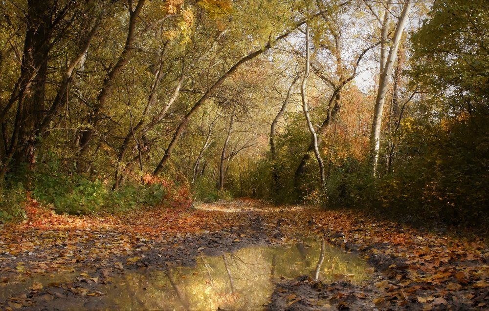 Photograph by Gizela Halászová