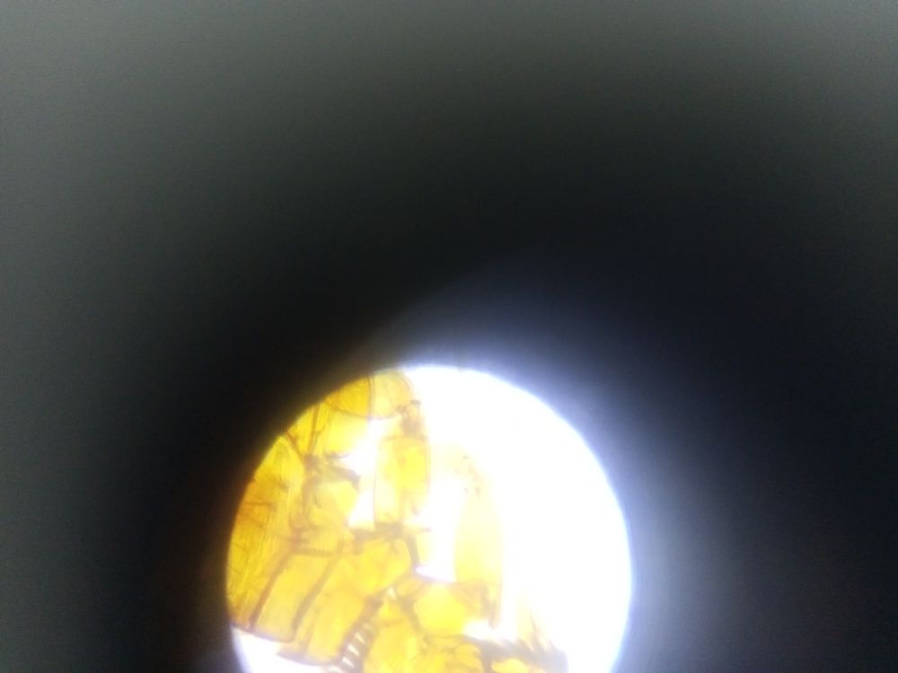 Photo #6663182