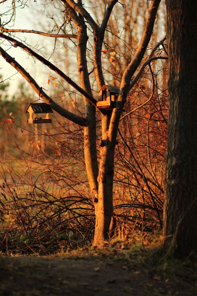 Краски заката