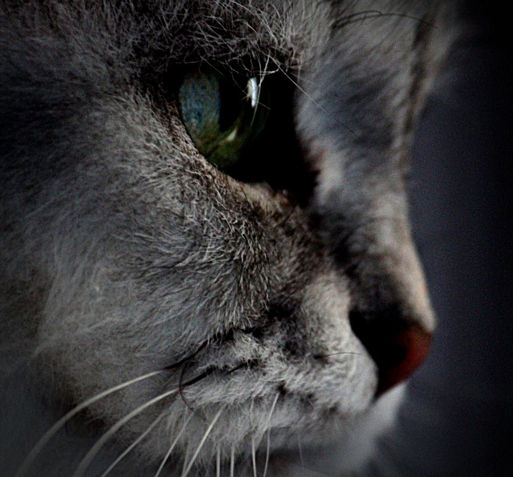 Photograph by Зоя Быкова