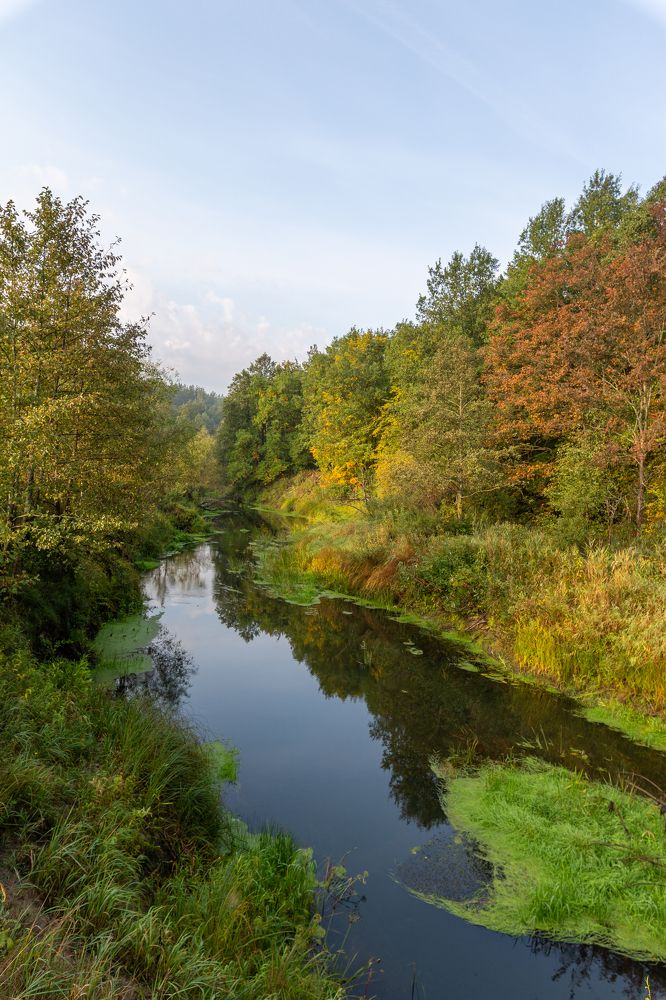 Photograph by Денис Елагин