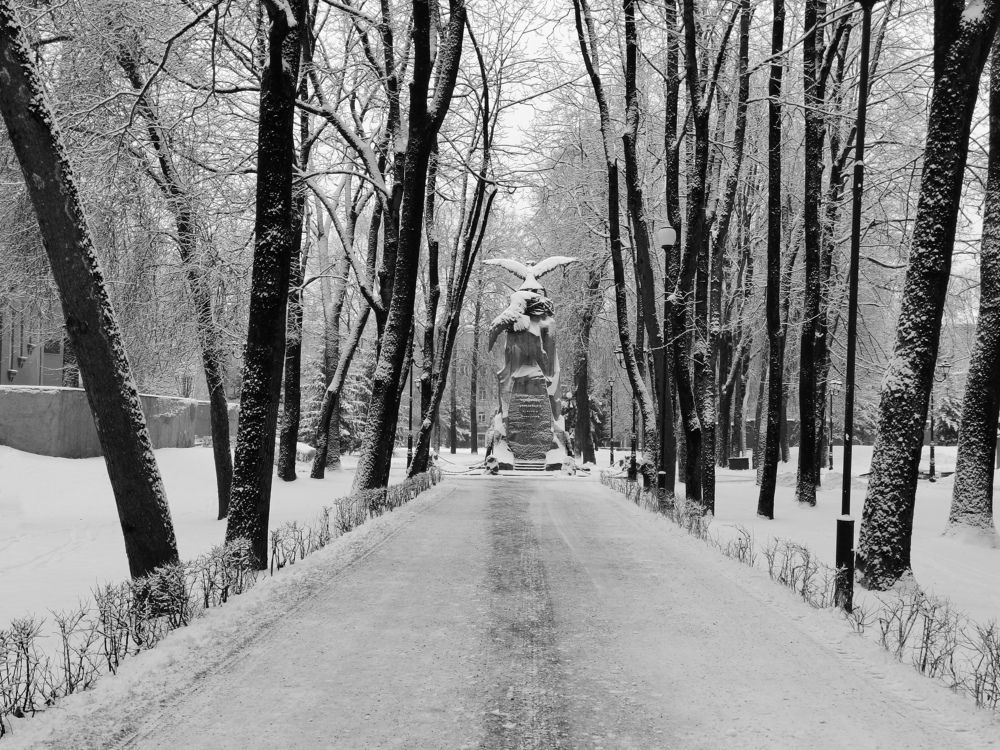 Photograph by Борис Баринов