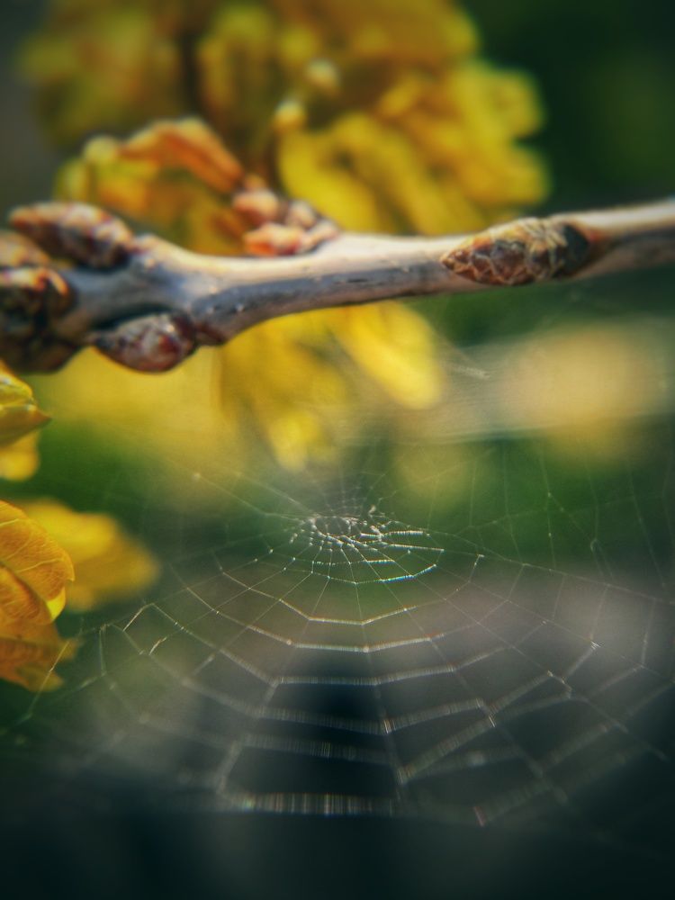 Фотография автора Марина Спильнык