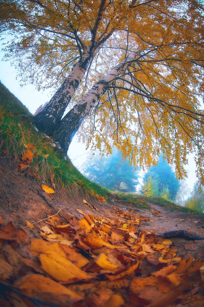 Photograph by Ян Кемпи