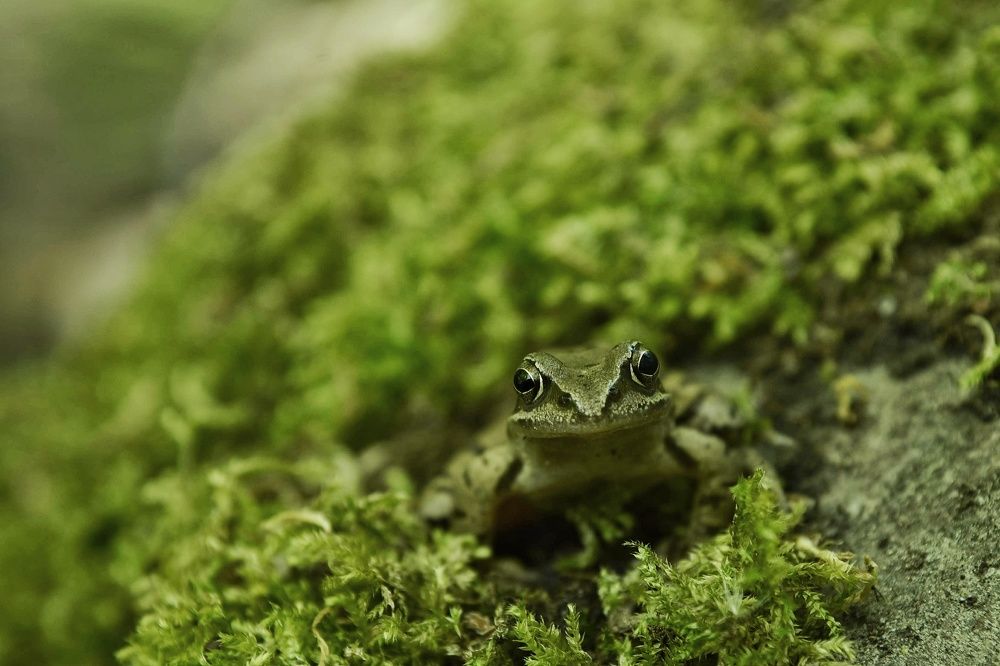 Photograph by Владимир Леликов-Кузьменко