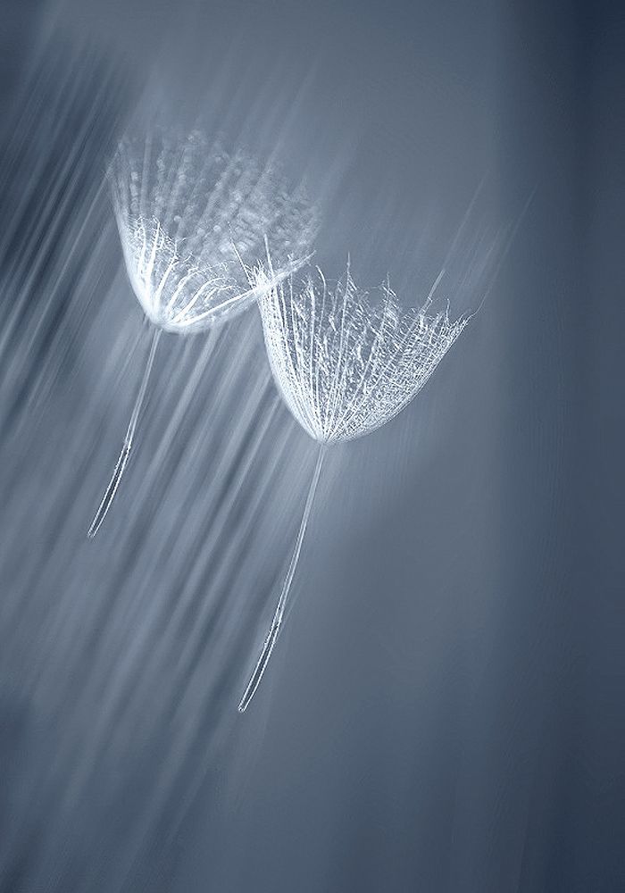 Photograph by Ольга Заболотская