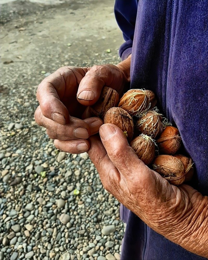 Photograph by Гельфман Галина