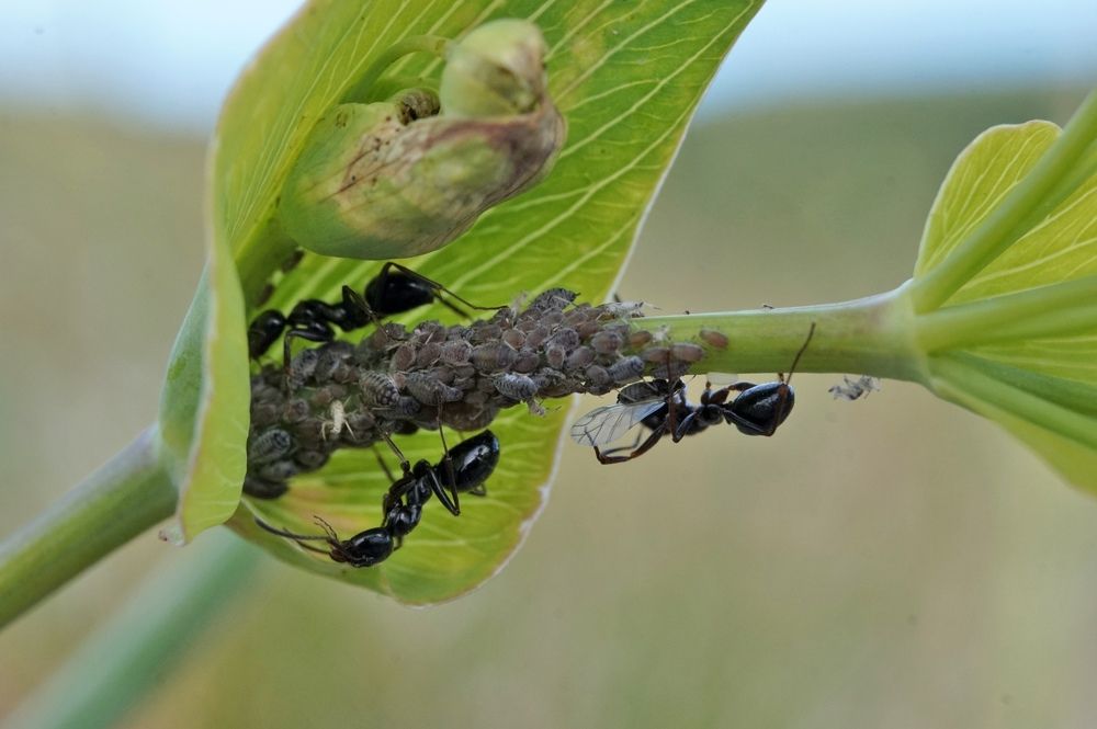 Photograph by Ксения Дудкина