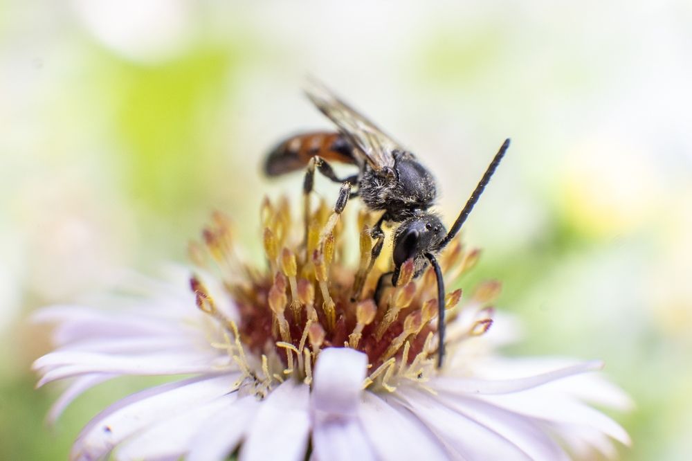 Photograph by Ксения Дудкина