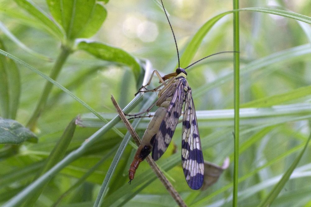 Photograph by Ксения Дудкина