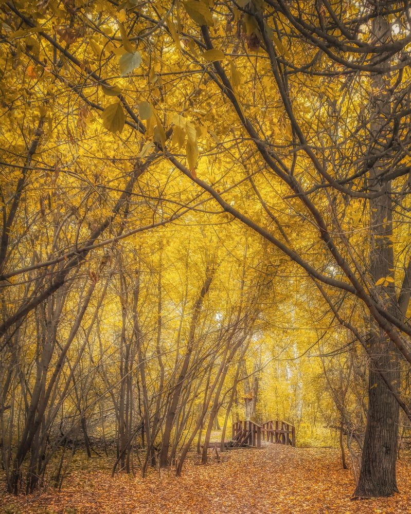 Фотография автора Илья Большаков