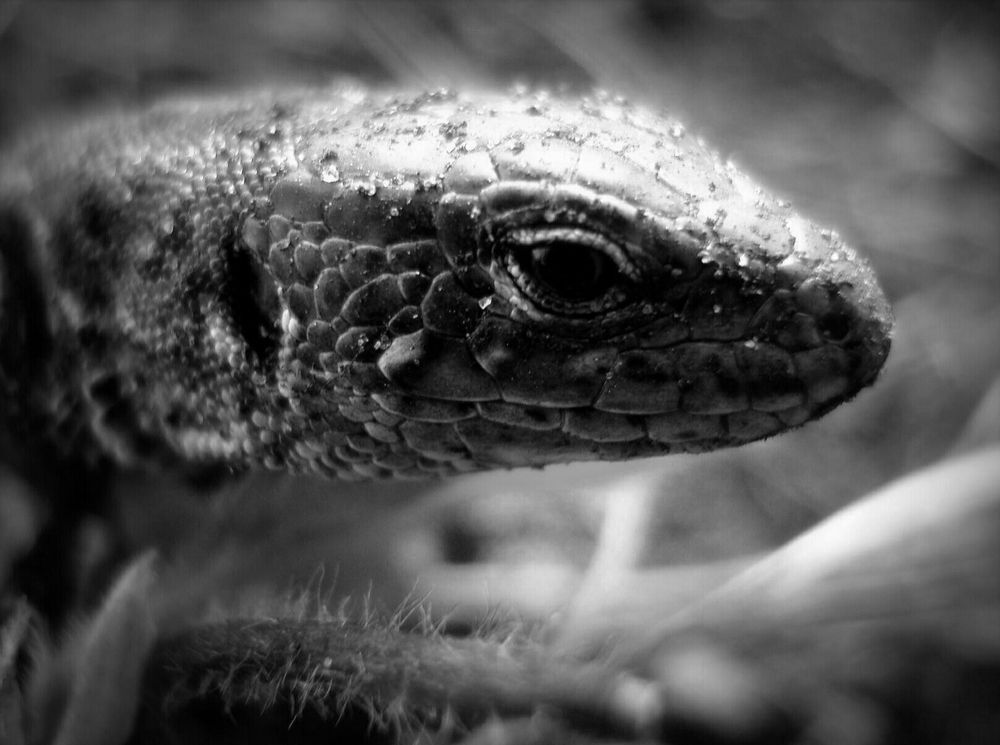 Фотография автора Павел Попов