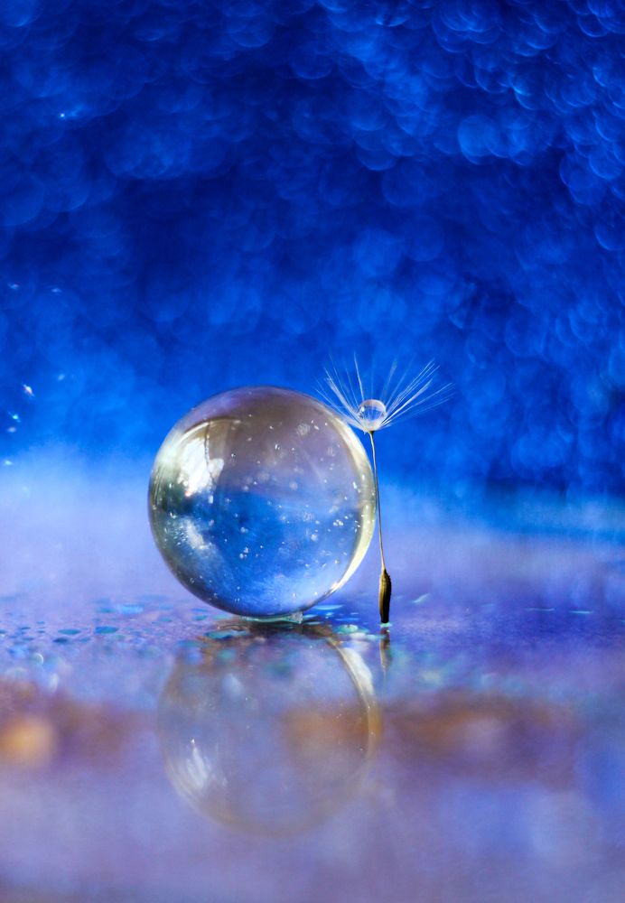 Photograph by Анастасия