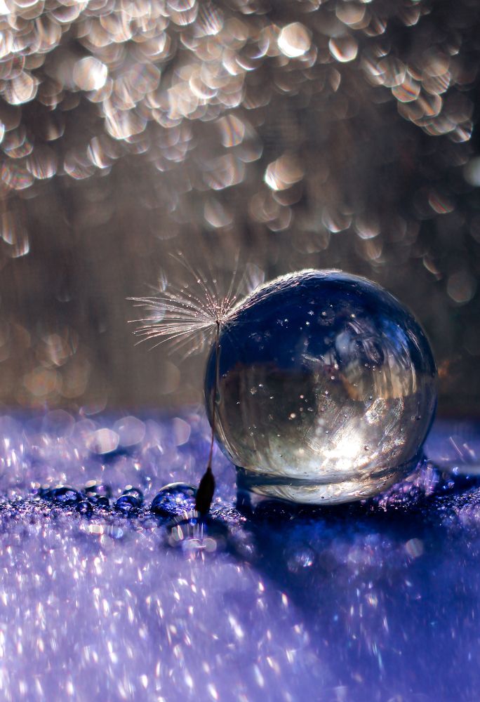 Photograph by Анастасия