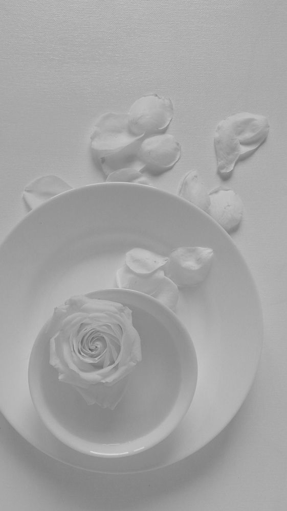 Photograph by Наталья Дябина