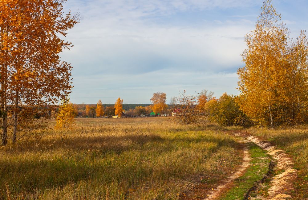 Фотография автора Руслан Востриков