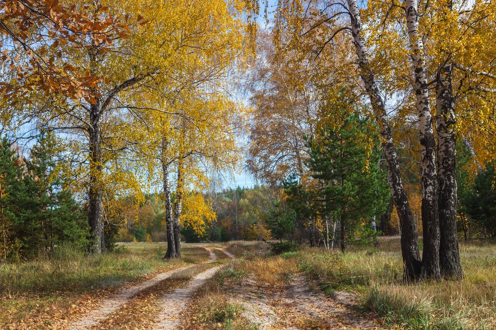 Фотография автора Руслан Востриков